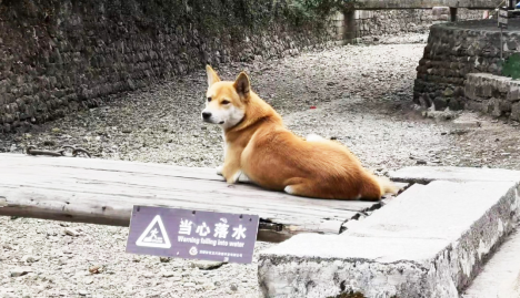 1572260541295893.png 金基· 我喜欢这帮家伙 凝力团建第三季73.png